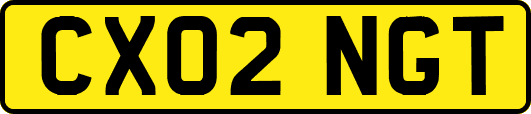 CX02NGT