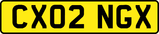CX02NGX