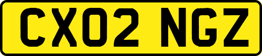 CX02NGZ