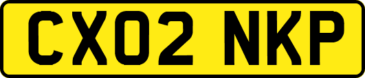 CX02NKP