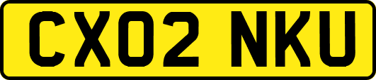 CX02NKU