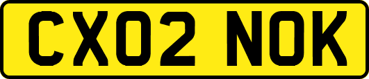 CX02NOK