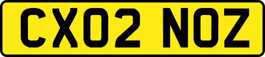 CX02NOZ