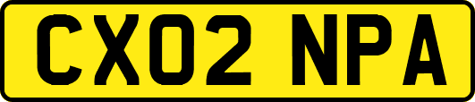 CX02NPA