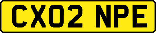 CX02NPE