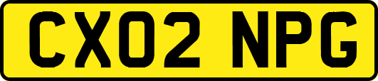 CX02NPG