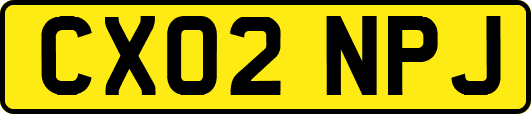 CX02NPJ