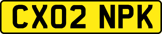 CX02NPK