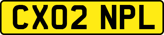 CX02NPL