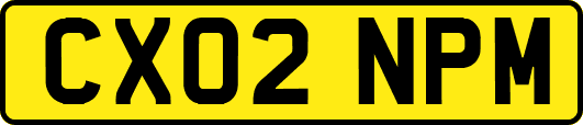 CX02NPM