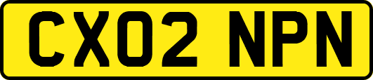 CX02NPN