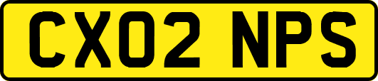 CX02NPS