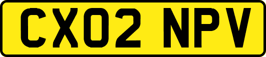 CX02NPV
