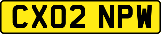 CX02NPW