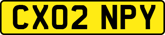 CX02NPY