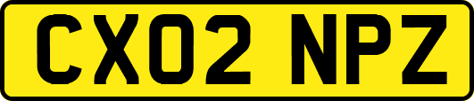 CX02NPZ