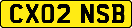 CX02NSB
