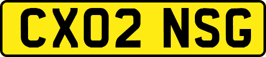 CX02NSG