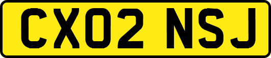 CX02NSJ