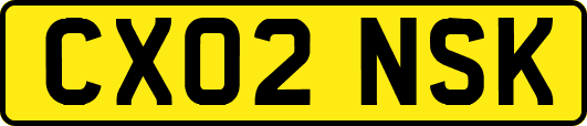 CX02NSK