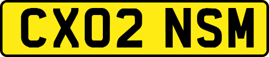 CX02NSM
