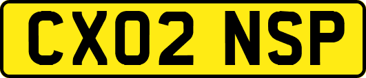 CX02NSP