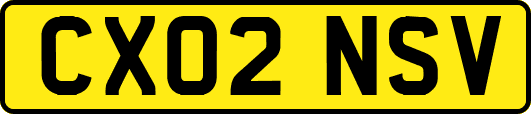 CX02NSV