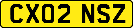 CX02NSZ