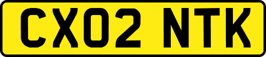 CX02NTK