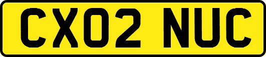 CX02NUC