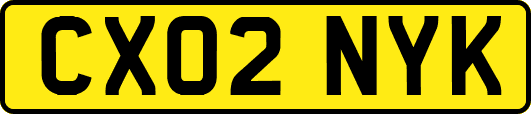 CX02NYK