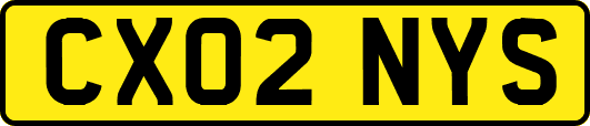 CX02NYS