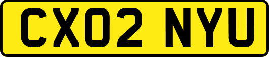 CX02NYU