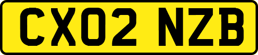 CX02NZB