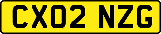 CX02NZG
