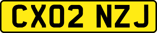 CX02NZJ