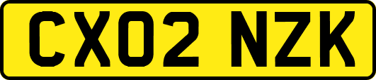 CX02NZK