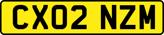 CX02NZM