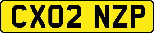 CX02NZP