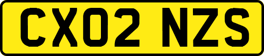 CX02NZS