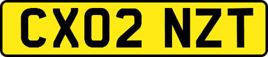 CX02NZT