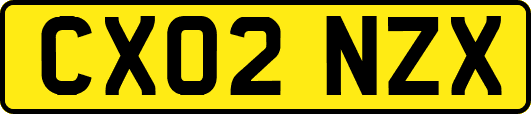 CX02NZX