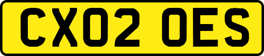CX02OES