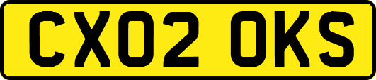 CX02OKS