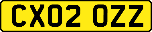 CX02OZZ