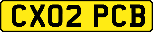 CX02PCB