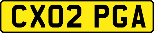 CX02PGA