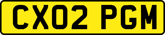 CX02PGM