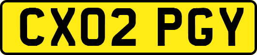 CX02PGY