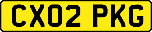CX02PKG